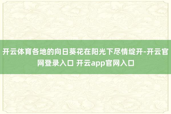 开云体育各地的向日葵花在阳光下尽情绽开-开云官网登录入口 开云app官网入口