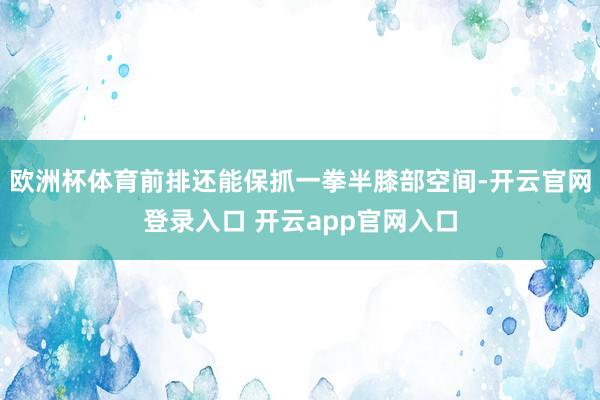 欧洲杯体育前排还能保抓一拳半膝部空间-开云官网登录入口 开云app官网入口