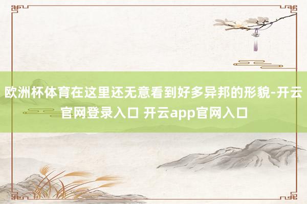 欧洲杯体育在这里还无意看到好多异邦的形貌-开云官网登录入口 开云app官网入口