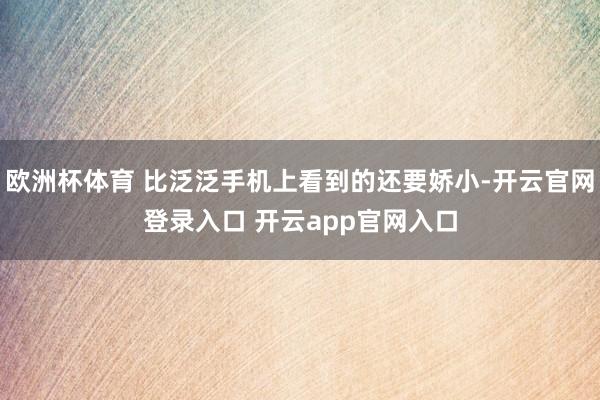 欧洲杯体育 比泛泛手机上看到的还要娇小-开云官网登录入口 开云app官网入口