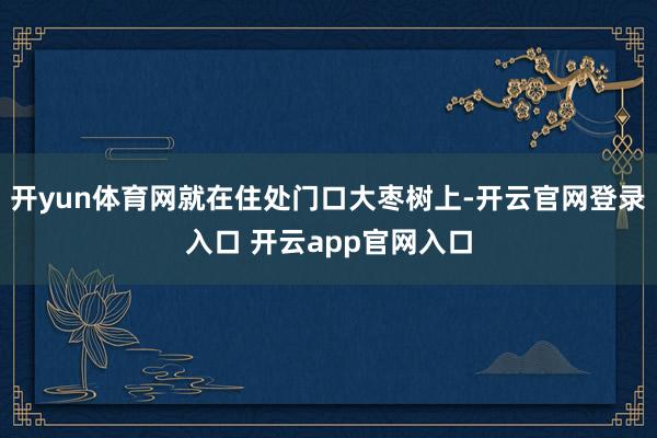 开yun体育网就在住处门口大枣树上-开云官网登录入口 开云app官网入口