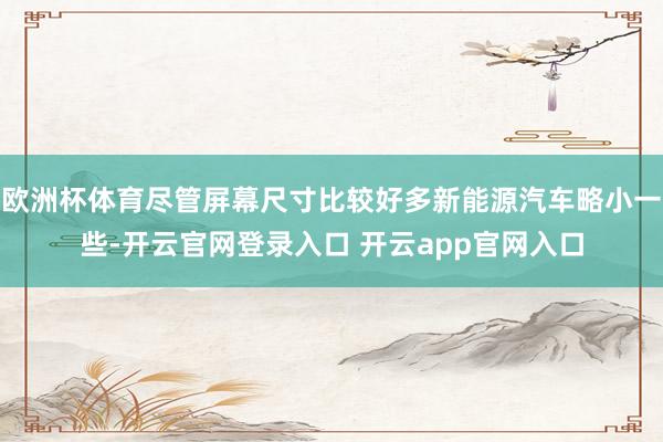 欧洲杯体育尽管屏幕尺寸比较好多新能源汽车略小一些-开云官网登录入口 开云app官网入口