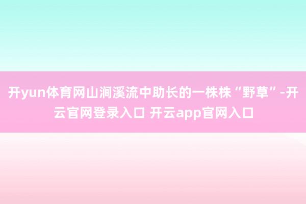 开yun体育网山涧溪流中助长的一株株“野草”-开云官网登录入口 开云app官网入口