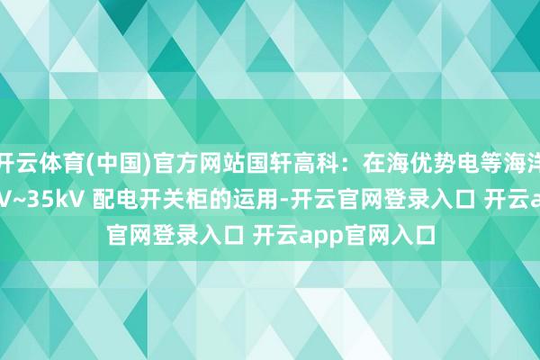 开云体育(中国)官方网站国轩高科：在海优势电等海洋界限有0.4kV~35kV 配电开关柜的运用-开云官网登录入口 开云app官网入口