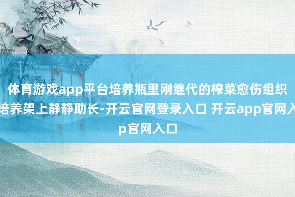 体育游戏app平台培养瓶里刚继代的榨菜愈伤组织在培养架上静静助长-开云官网登录入口 开云app官网入口
