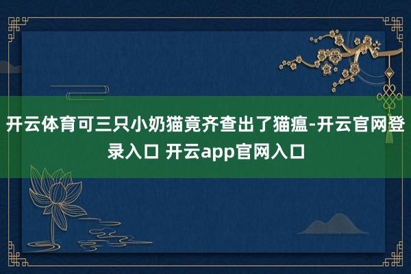 开云体育可三只小奶猫竟齐查出了猫瘟-开云官网登录入口 开云app官网入口
