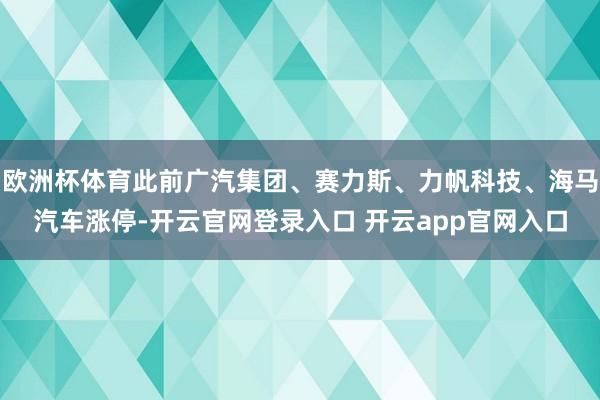 欧洲杯体育此前广汽集团、赛力斯、力帆科技、海马汽车涨停-开云官网登录入口 开云app官网入口