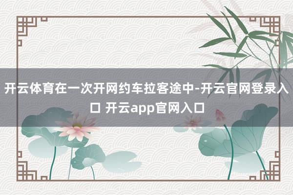 开云体育在一次开网约车拉客途中-开云官网登录入口 开云app官网入口