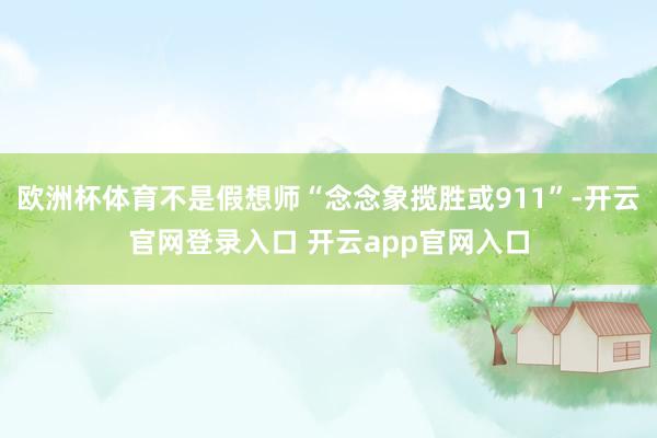 欧洲杯体育不是假想师“念念象揽胜或911”-开云官网登录入口 开云app官网入口
