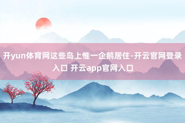 开yun体育网这些岛上惟一企鹅居住-开云官网登录入口 开云app官网入口